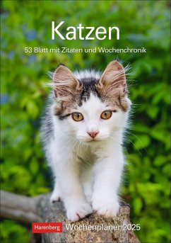Katzen Wochenplaner 2025 - 53 Blatt mit Zitaten und Wochenchronik - Huhnold, Thomas