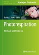 Photorespiration - Bild 1
