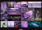 Colours of Nature Kalender 2025