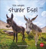 Esel Postkartenkalender 2025 - Von wegen sturer Esel
