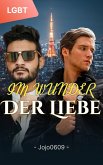 Im Wunder der Liebe (eBook, ePUB)