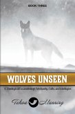 Wolves Unseen: A Theological Excavation of Christianity, Cults, and Ideologies (Unmasking the Unseen Series, #3) (eBook, ePUB)