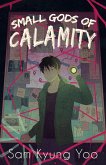 Small Gods of Calamity (eBook, ePUB)