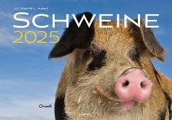 Schweine Kalender 2025 - Klein, J.-L.;Hubert, M.-L.