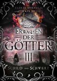 Schild und Schwert (eBook, ePUB)