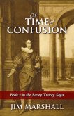 A Time of Confusion (eBook, ePUB)