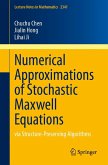Numerical Approximations of Stochastic Maxwell Equations (eBook, PDF)