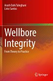 Wellbore Integrity