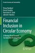 Financial Inclusion in Circular Economy - Bild 1