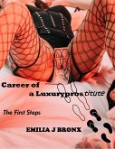 Carreer of a Luxuryprostitute First Steps (eBook, ePUB)