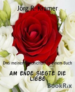 Am Ende siegte die Liebe (eBook, ePUB) - R. Kramer, Jörg