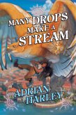 Many Drops Make a Stream (eBook, ePUB)