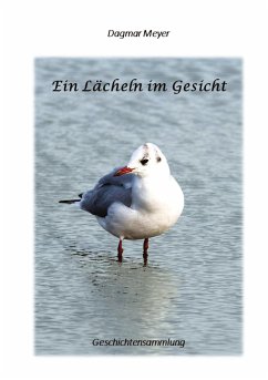 Ein Lächeln im Gesicht - Meyer, Dagmar