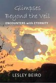 Glimpses Beyond the Veil, Encounters with Eternity (eBook, ePUB)