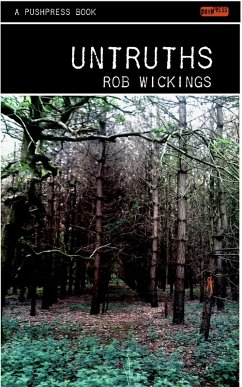 Untruths (eBook, ePUB) - Wickings, Rob