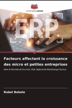 Facteurs affectant la croissance des micro et petites entreprises - Bekele, Robel