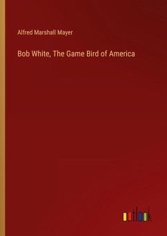 Bob White, The Game Bird of America - Mayer, Alfred Marshall