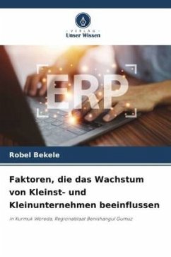 Faktoren, die das Wachstum von Kleinst- und Kleinunternehmen beeinflussen - Bekele, Robel