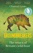 Groundbreakers (eBook, PDF) - Bild 1