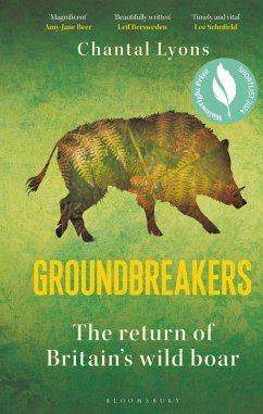 Groundbreakers (eBook, PDF) - Lyons, Chantal