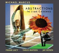 Abstractions In Lime Caverns - Marcus,Michael