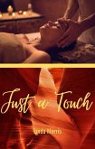 Just a Touch (eBook, ePUB) Just a Touch (eBook, ePUB)