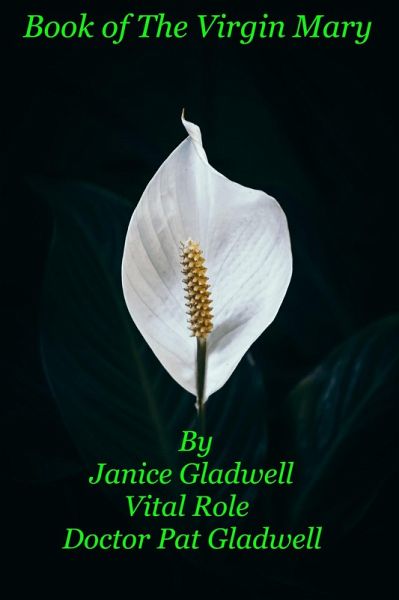 Book of The Virgin Mary (eBook, ePUB) Book of The Virgin Mary (eBook, ePUB)