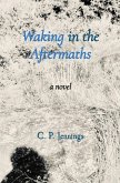 Waking in the Aftermaths