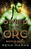 Owned By The Orc (eBook, ePUB)