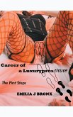 Carreer of a Luxuryprostitute First Steps Carreer of a Luxuryprostitute First Steps