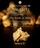 Nuggets From The Book of John (eBook, ePUB)