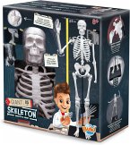 BUKI France 2181 - Skeleton, Riesen Skelett 85 cm