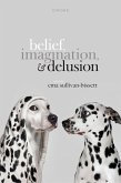 Belief, Imagination, and Delusion (eBook, PDF)