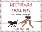 Through Small Eyes (eBook, ePUB)