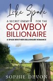 Luke Spade - A Secret Enemy for the Cowboy Billionaire: A Spade Brothers Billionaire Romance (Spade Brothers Ranch, #4) (eBook, ePUB)