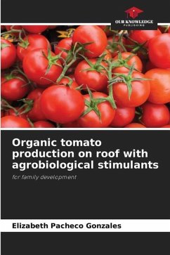 Organic tomato production on roof with agrobiological stimulants - Pacheco Gonzales, Elizabeth