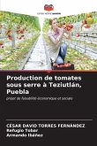 Production de tomates sous serre à Teziutlán, Puebla