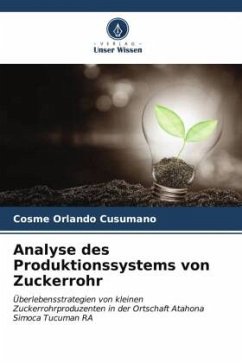 Analyse des Produktionssystems von Zuckerrohr - Cusumano, Cosme Orlando