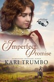 An Imperfect Promise (Abiding Love, #1) (eBook, ePUB)