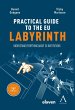 The practical guide to the eu labyrinth... - Bild 1