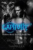 Captivity (Hollow Rock Shifters, #1) (eBook, ePUB)