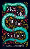 Meet Me at the Surface (eBook, ePUB)