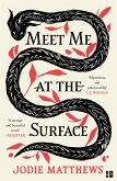 Meet Me at the Surface (eBook, ePUB)