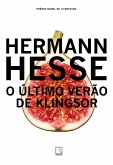 O último verão de Klingsor (eBook, ePUB)