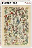 Millot - Fleurs Millot - Fleurs