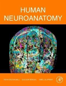 Human Neuroanatomy - Erzurumlu, Reha; Sengul, Gulgun; Ulupinar, Emel