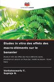 Études in vitro des effets des macro-éléments sur le bananier