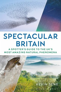 Spectacular Britain (eBook, ePUB) - Sene, Kevin