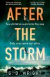 After the Storm (eBook, ePUB) - Bild 1