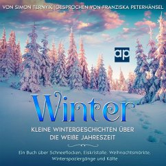 Winter (MP3-Download) - Ternyik, Simon